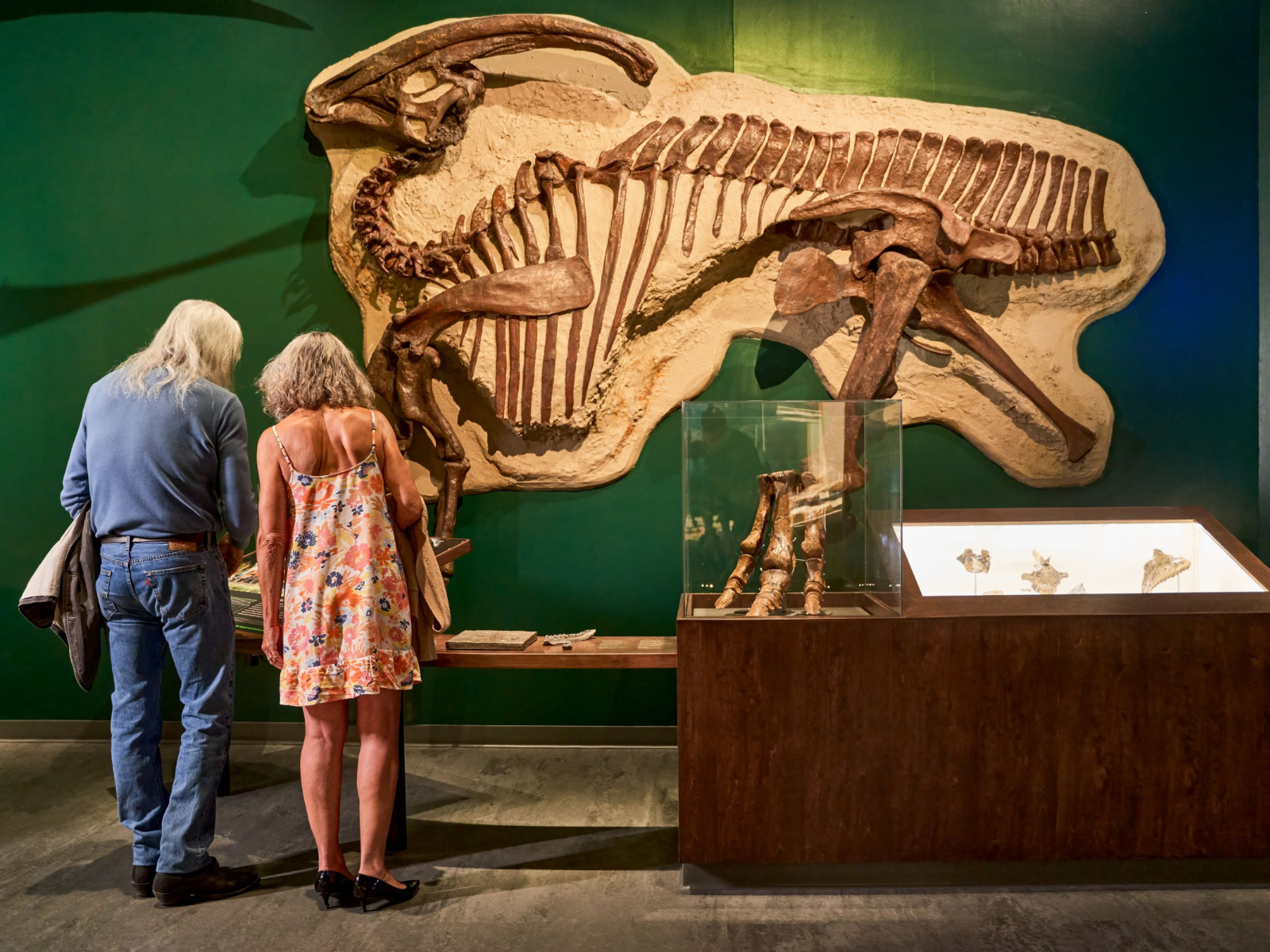 Two people standing in Manitoba Museum in front of a large dinosaur skeleton fossil on a green wall inside a museum with display cases nearby.