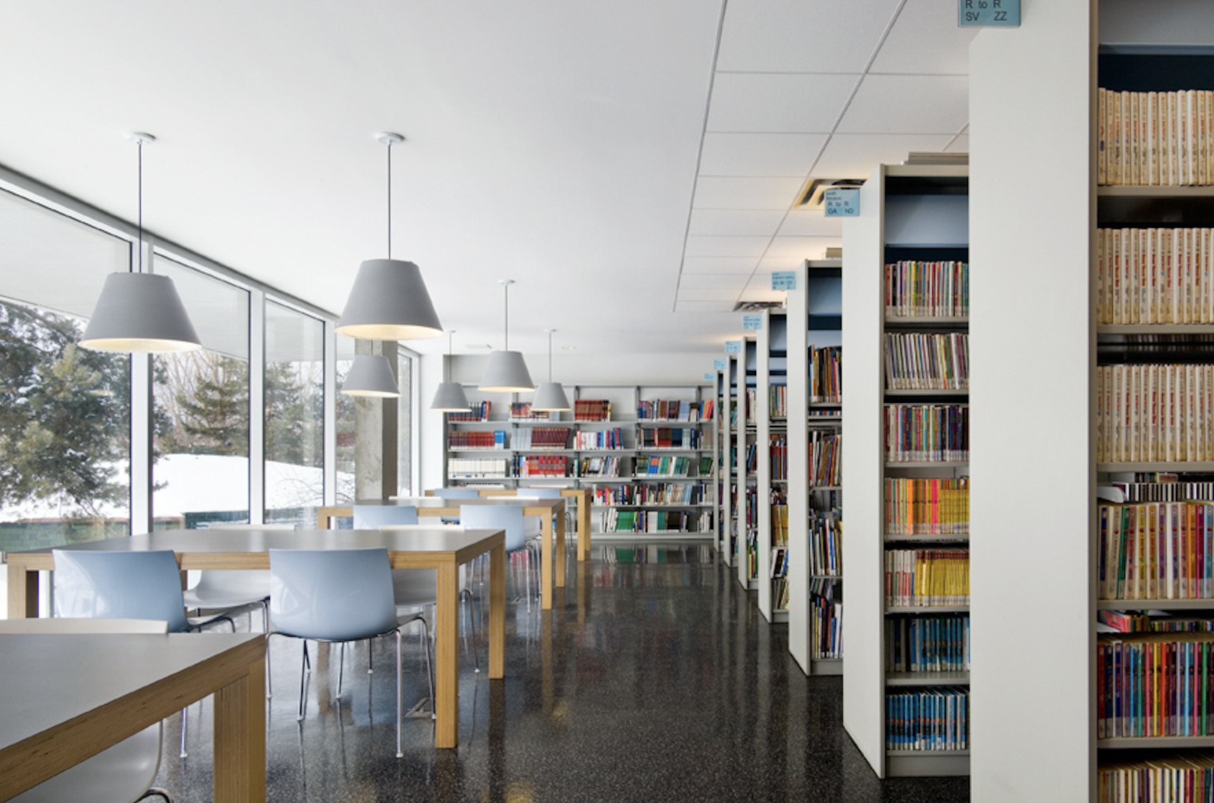 White bookshelves filled with a variety of books in a well-lit library or bookstore with large windows in the background.