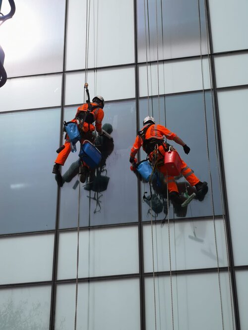Vertex Facades Window Cleaning Gasket Replacement Maintenance