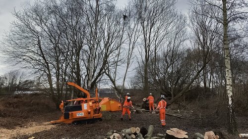 NPTC Site Clearance Arborist Tree Felling Ecology
