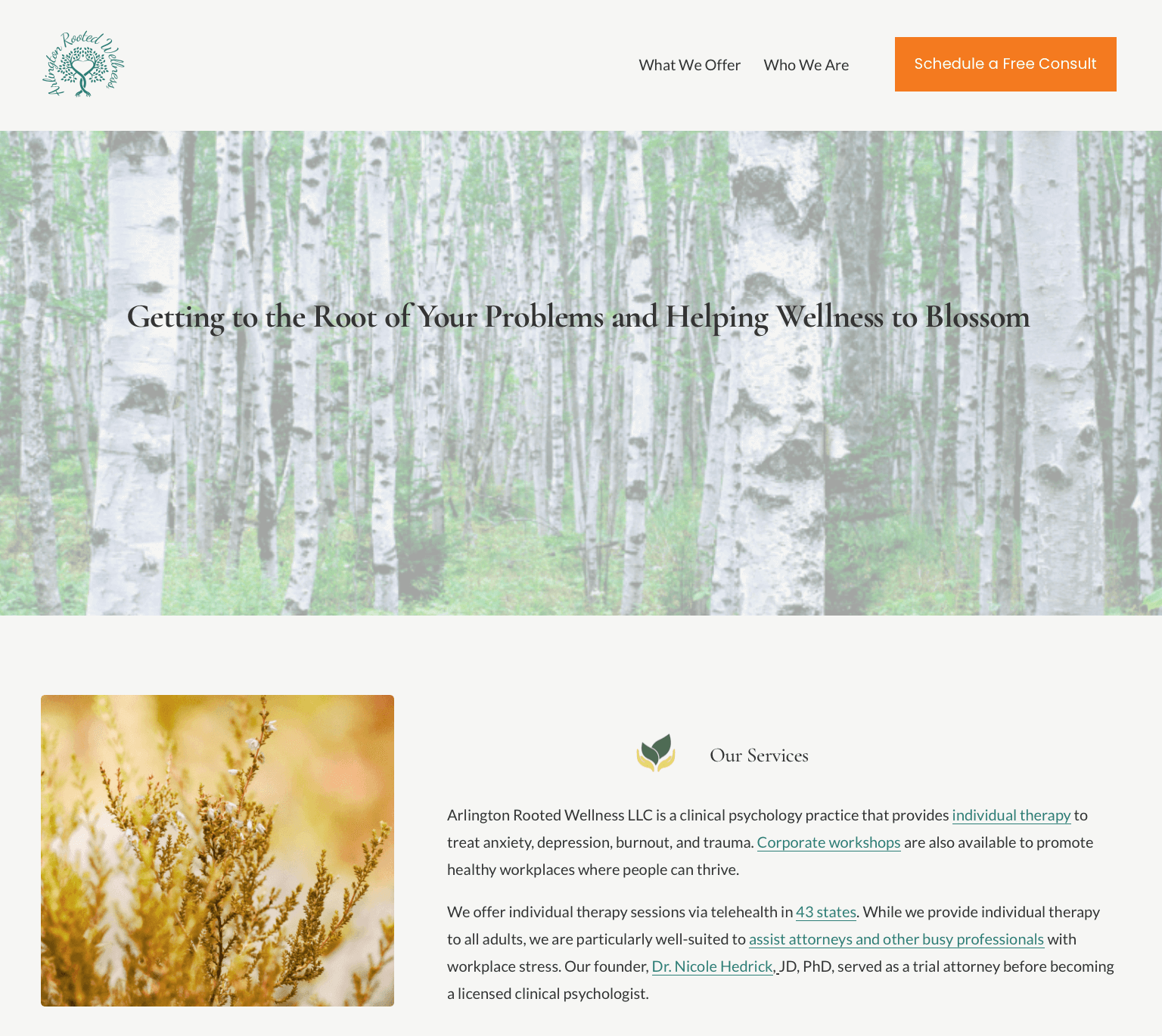 Screenshot 2025-11-11 at 9.10.15 AM.png