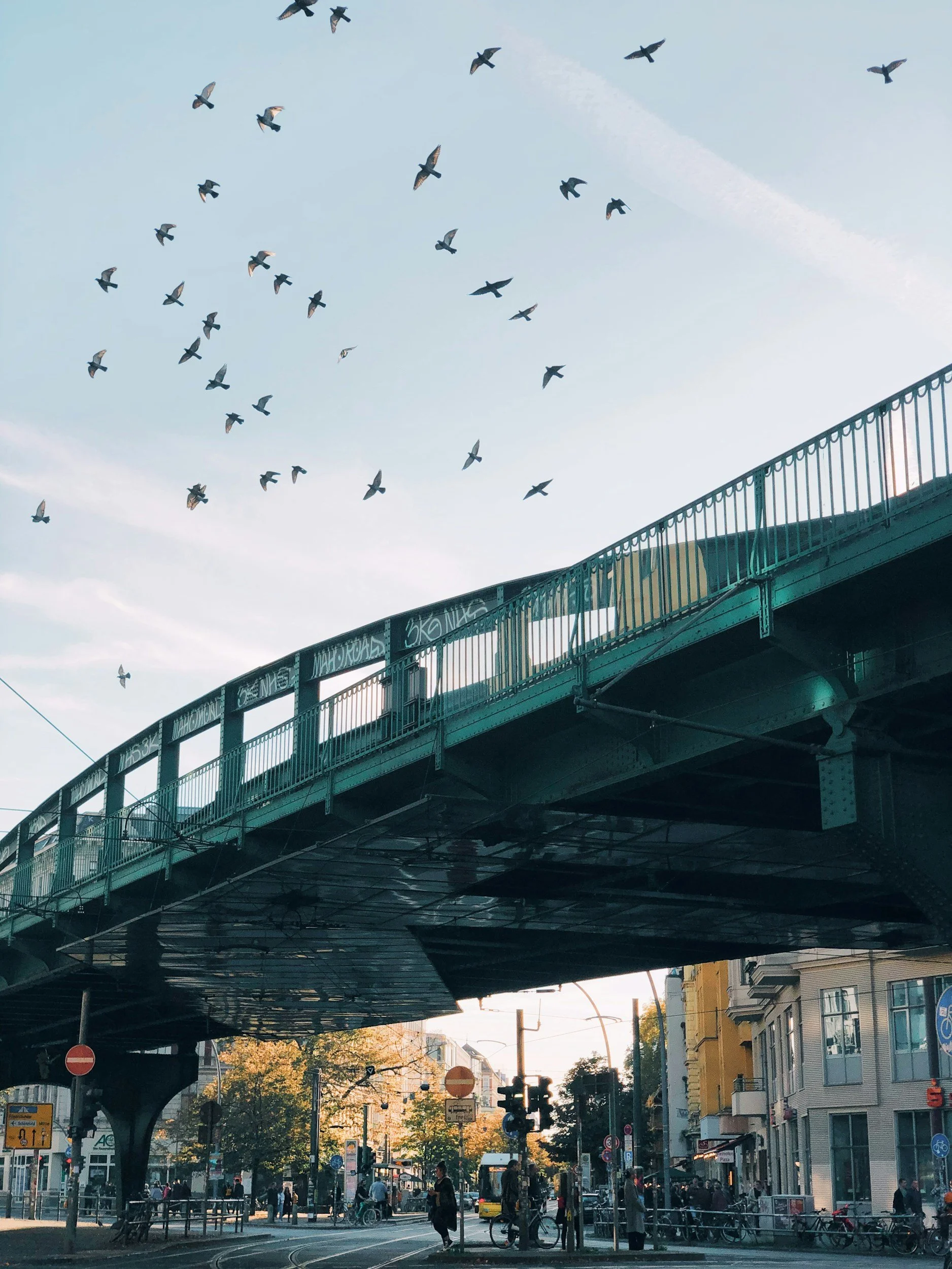 unsplash-image-EioK6jZ6OTY.jpg