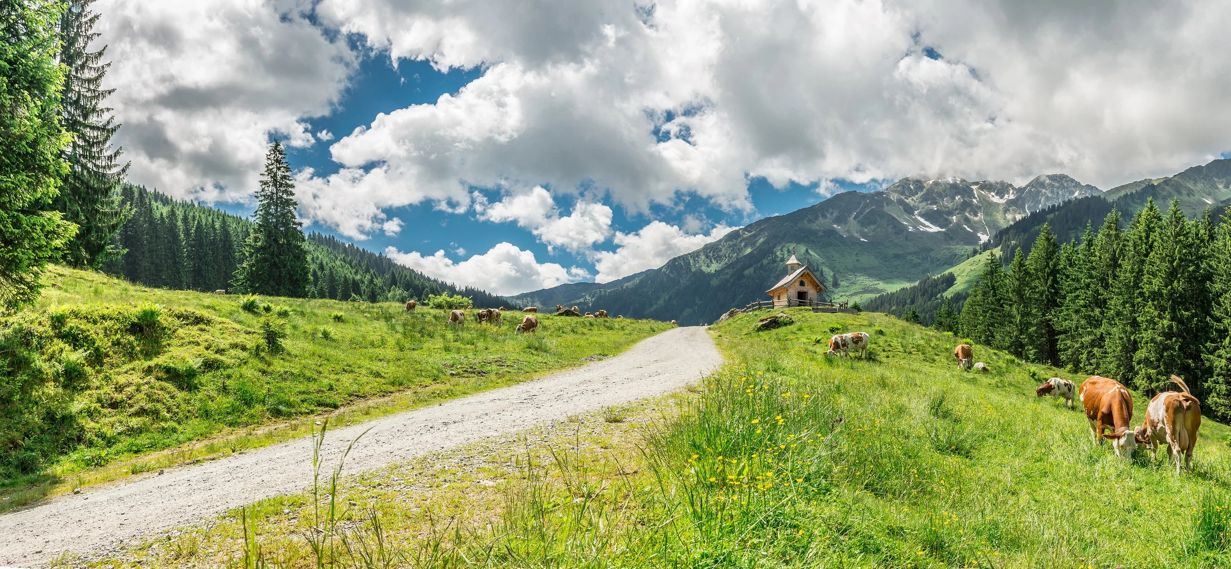 Berglandschap mit Weide, Kühen, einer kleinen Holzkirche, Tannenbäumen, hohen Bergen und einer bewölkten blauen Himmel.