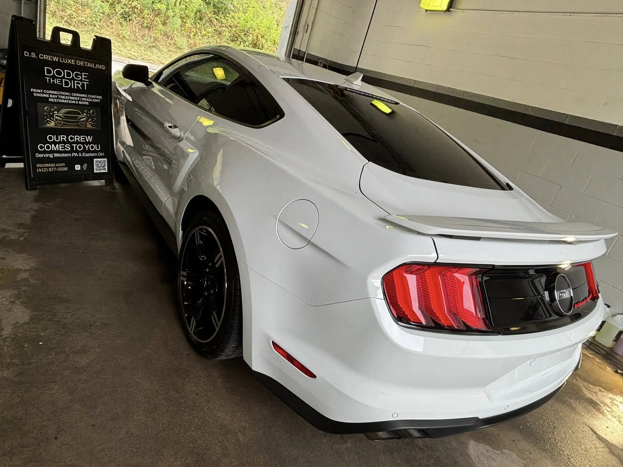 mustang cali series.jpg