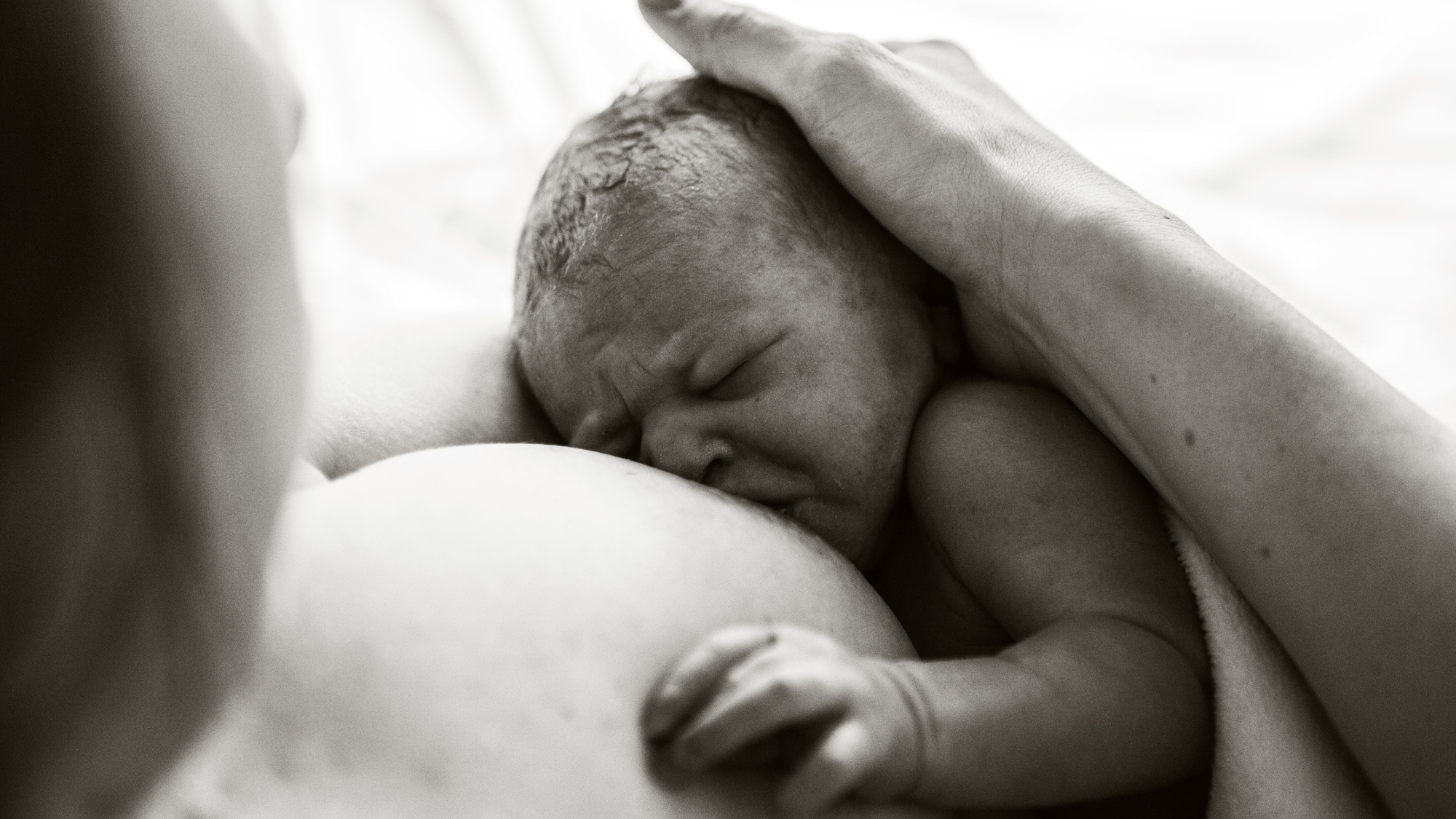 Accompany Doula Care recognizes National Breastfeeding Month this August