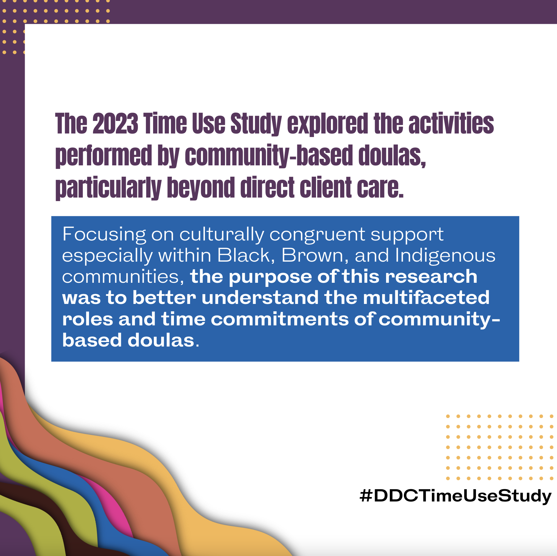 Doula Data Consortium 2023 Time Use Study
