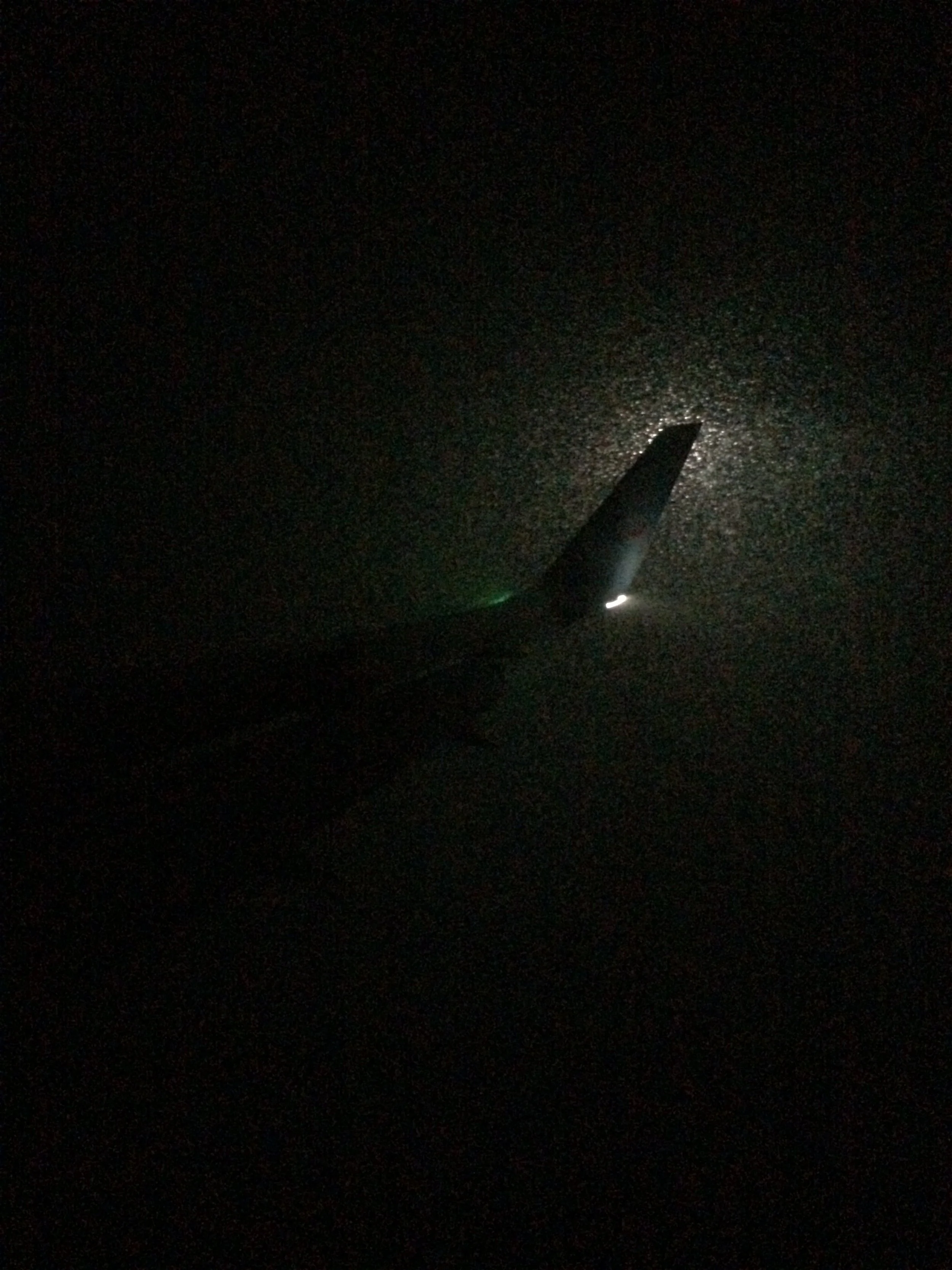 23. vicky-simmons-plane-wing.JPG