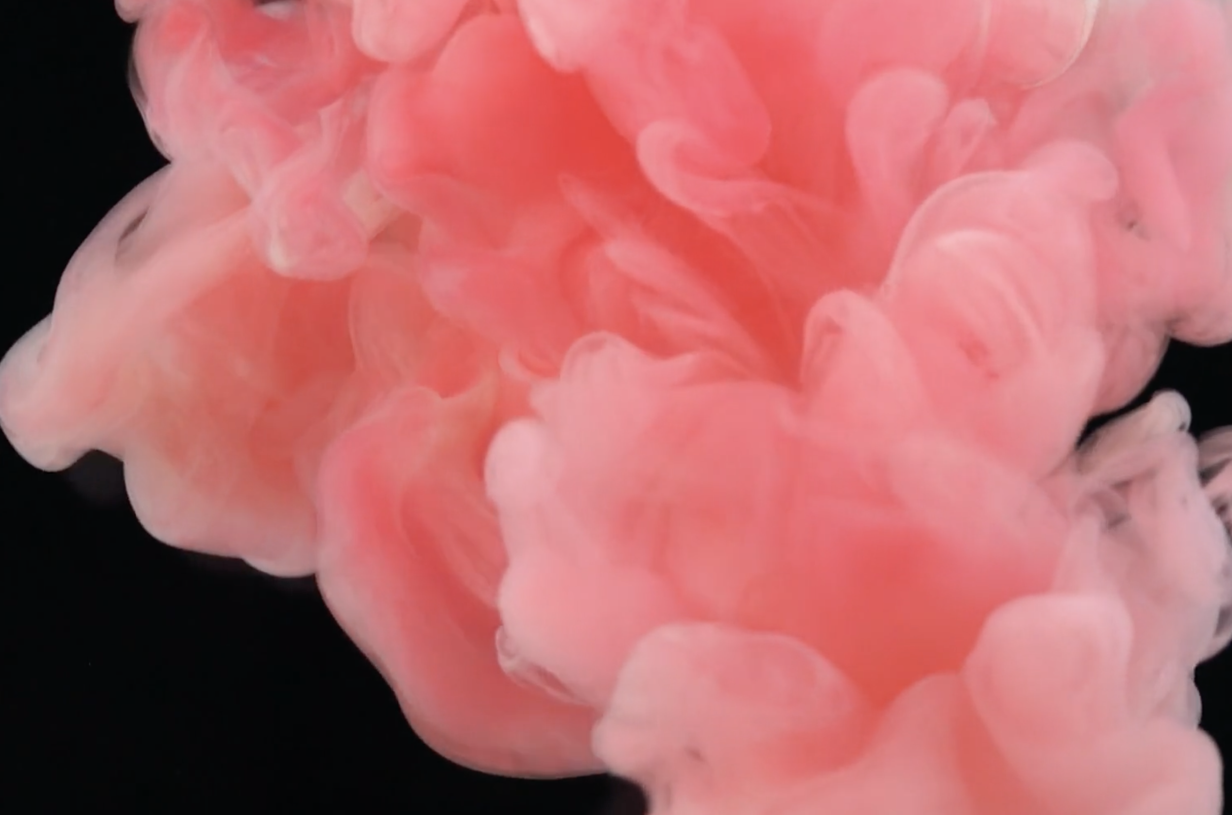 Lansering av ny webbplats den 9 februari