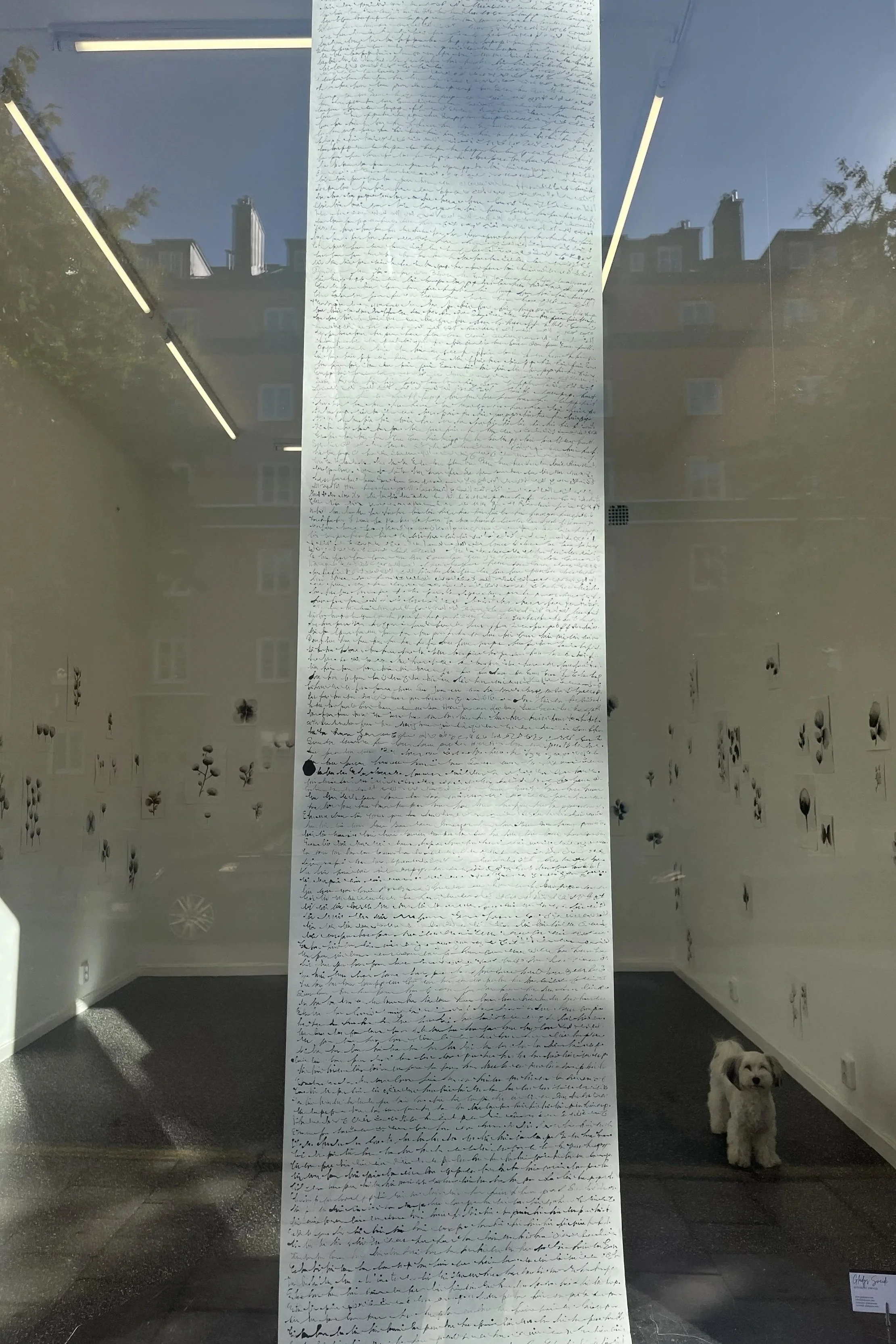 katarina-ap-galleri-vernissage