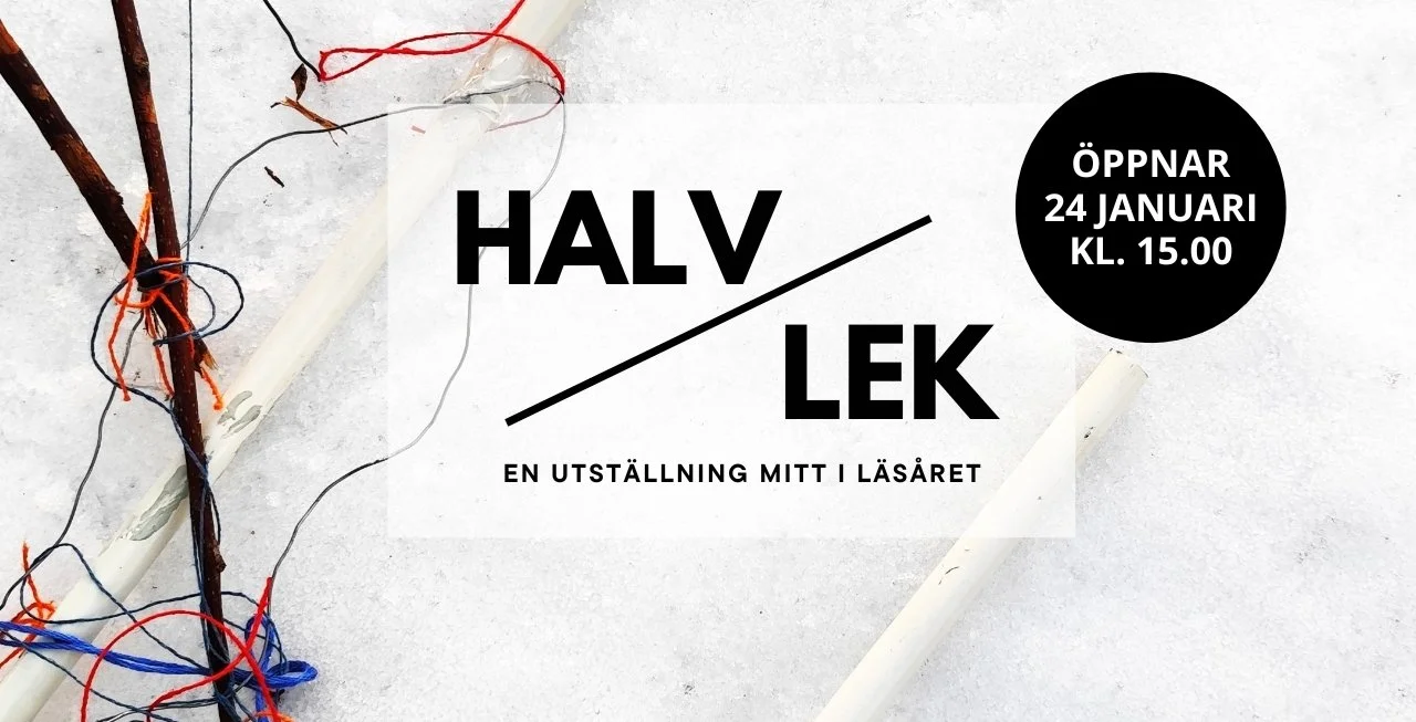 digitalt-galleri-falkenbergs-konstskola-halvlek