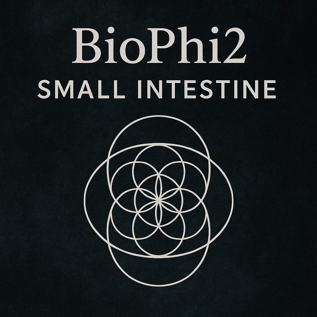 Small Intestine Frequency File  Support Your Inner Alchemist. Digest More Than Food.