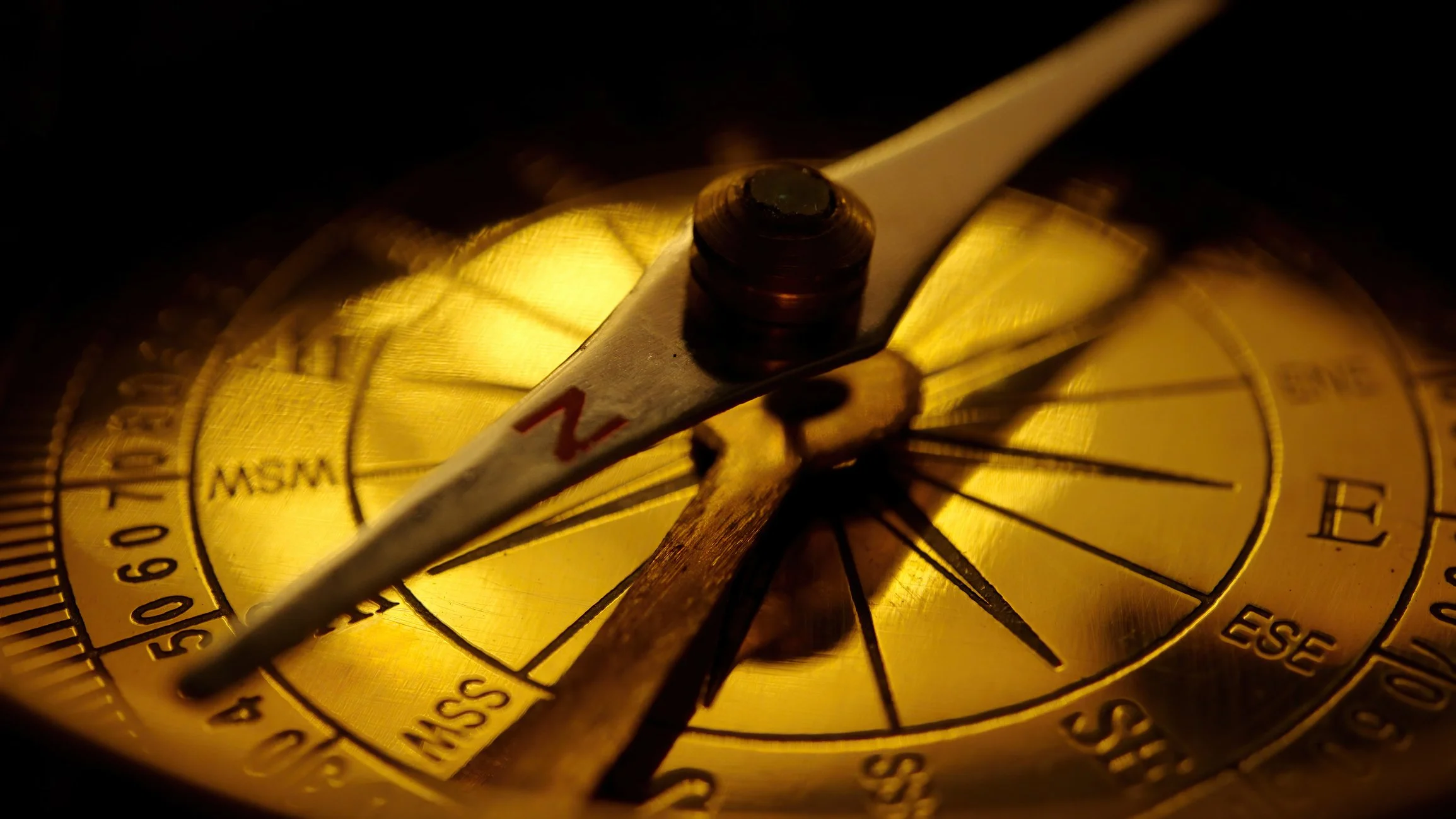 iStock-1462058150.jpg