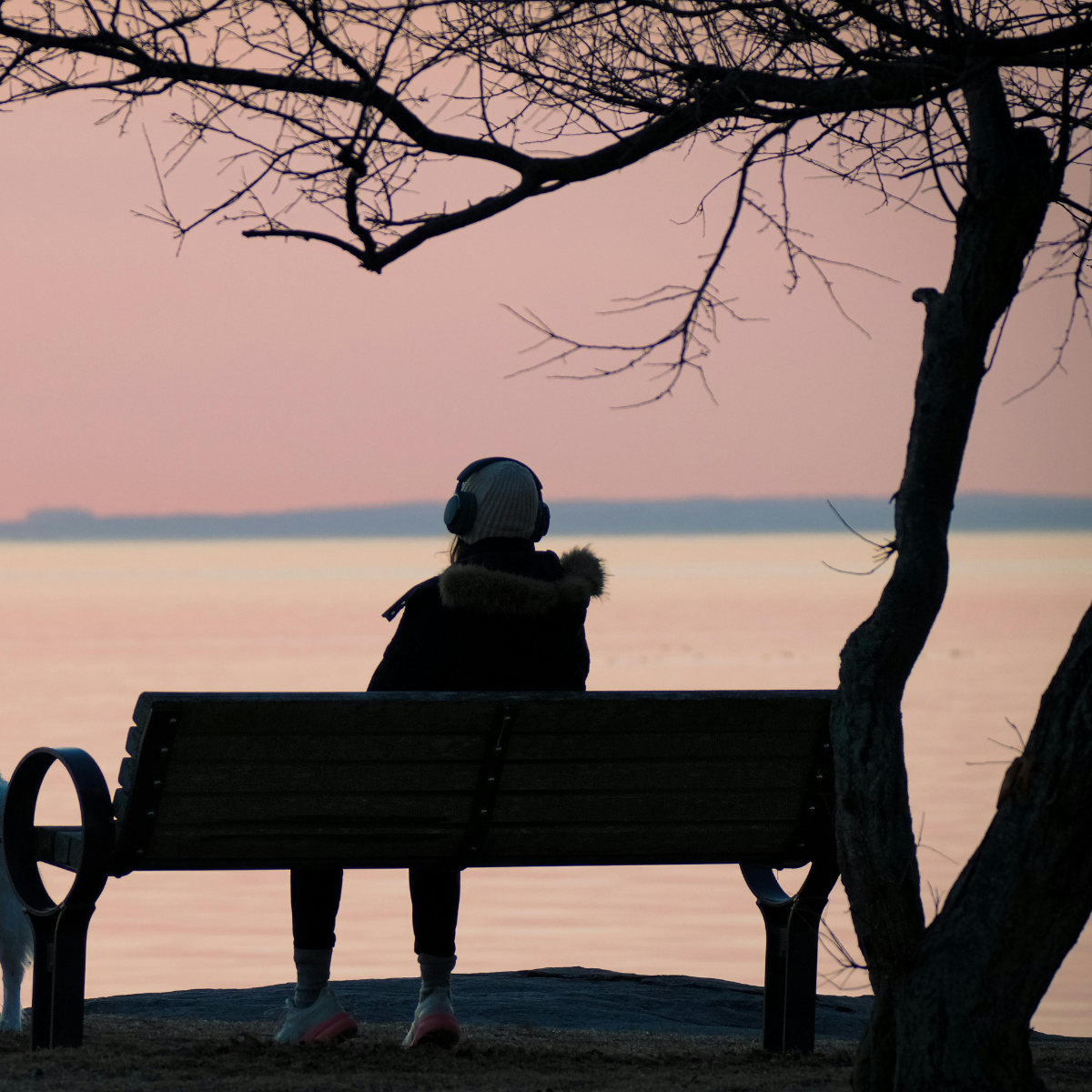 Clarity coaching reflections for the year