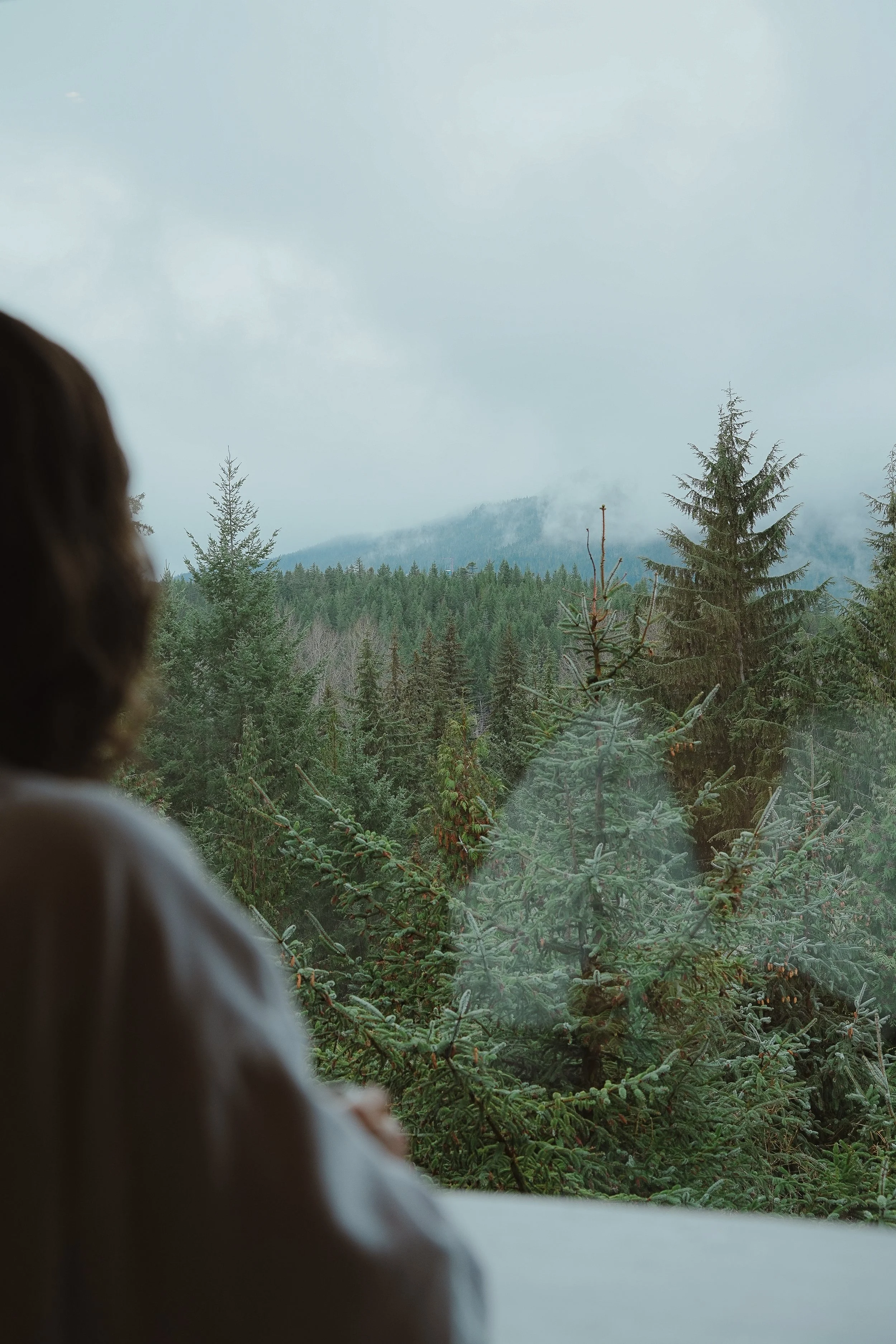 ScandinaveSpaWhistler(Day2)byKptur(©michaeljesus)-19.jpg