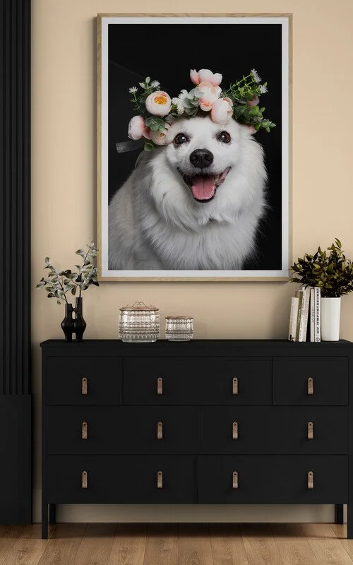 Large framed photograph of a white dog wearing a flower crown on a black background, hanging on a beige wall above a black dresser with decorative items and books.