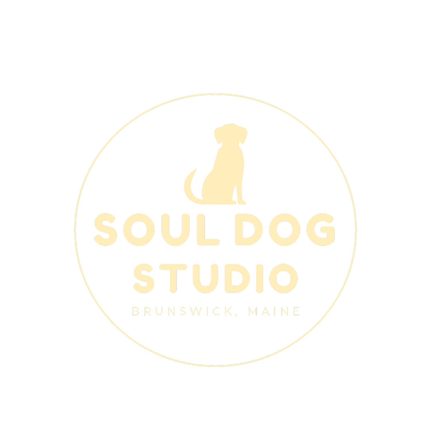 Soul Dog Studio - Maine Pet Photography Studio
