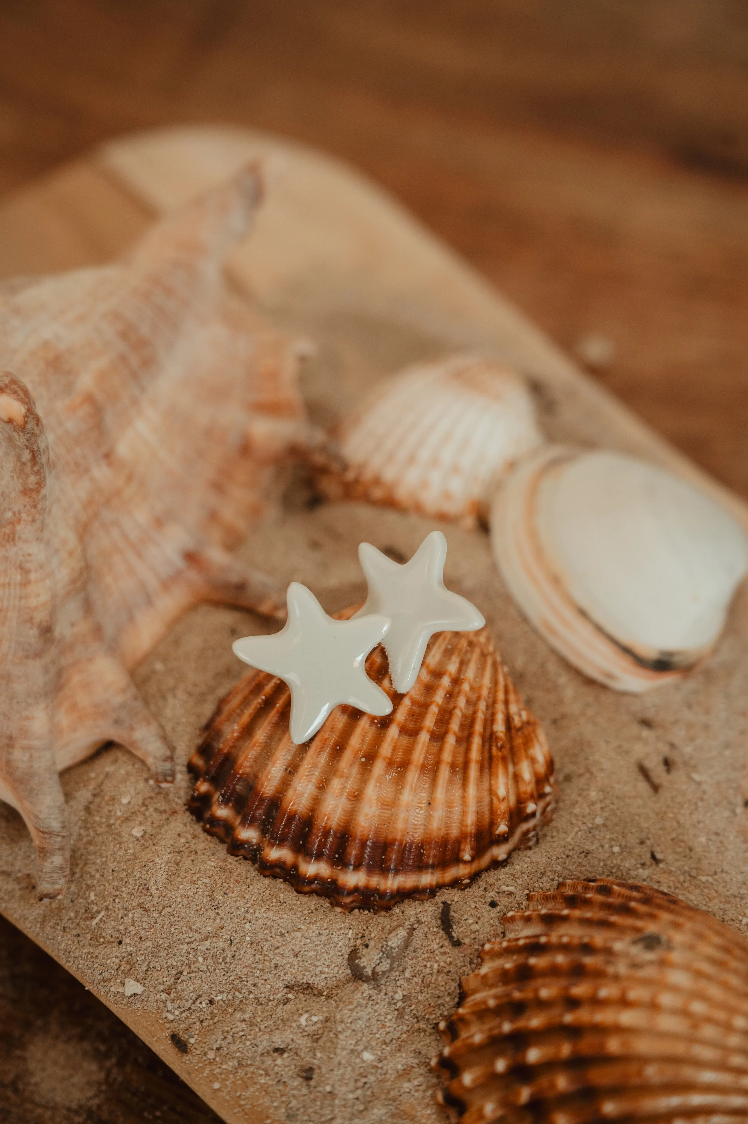 Boucles étoile de mer