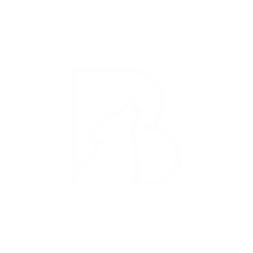 Central Florida and Michigan Wedding Videographer