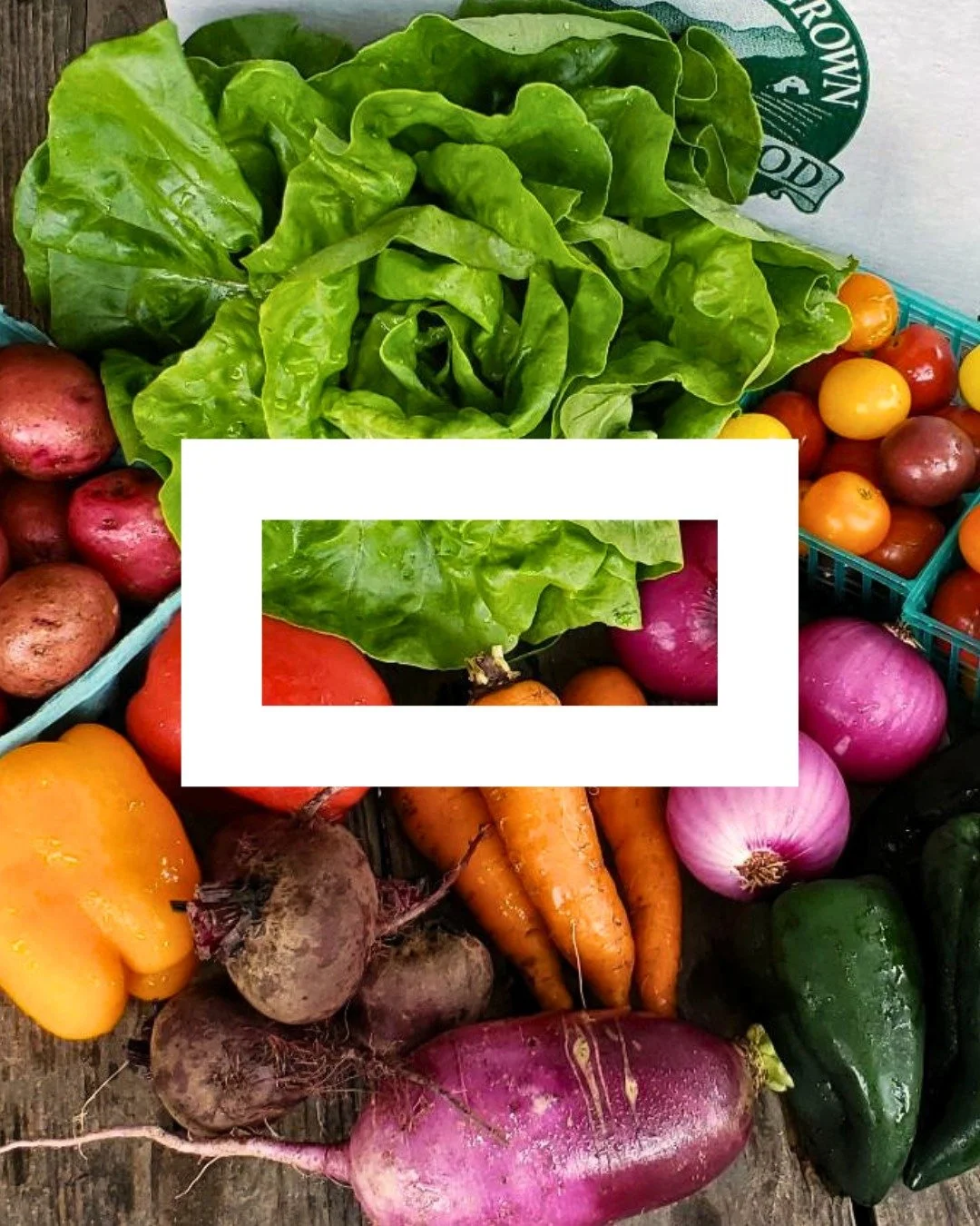 In our early years, a portion of every dollar will go back to the WNC region through the MOUNTAINS LIGHTS Impact Fund, starting with local farmers - because food and farming are the first economy. @blackmountainmarket is MOUNTAIN LIGHTS fiscal sponso