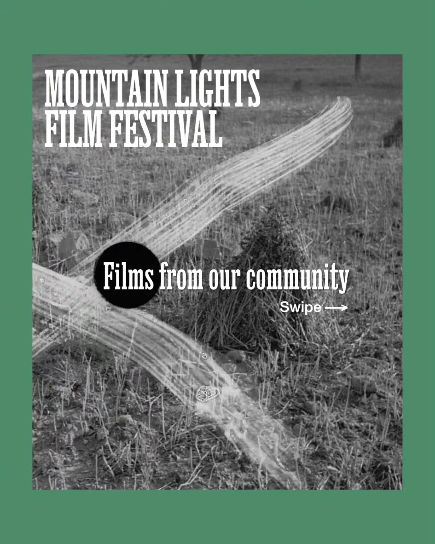 🎞 👉 👉👉 There is lots of amazing film work in development and premiering out in the world from our local community at the moment! 

What projects are you working on? What work do you have your eyes on in the southeast?! 

#mountainlightsfilmfestiv