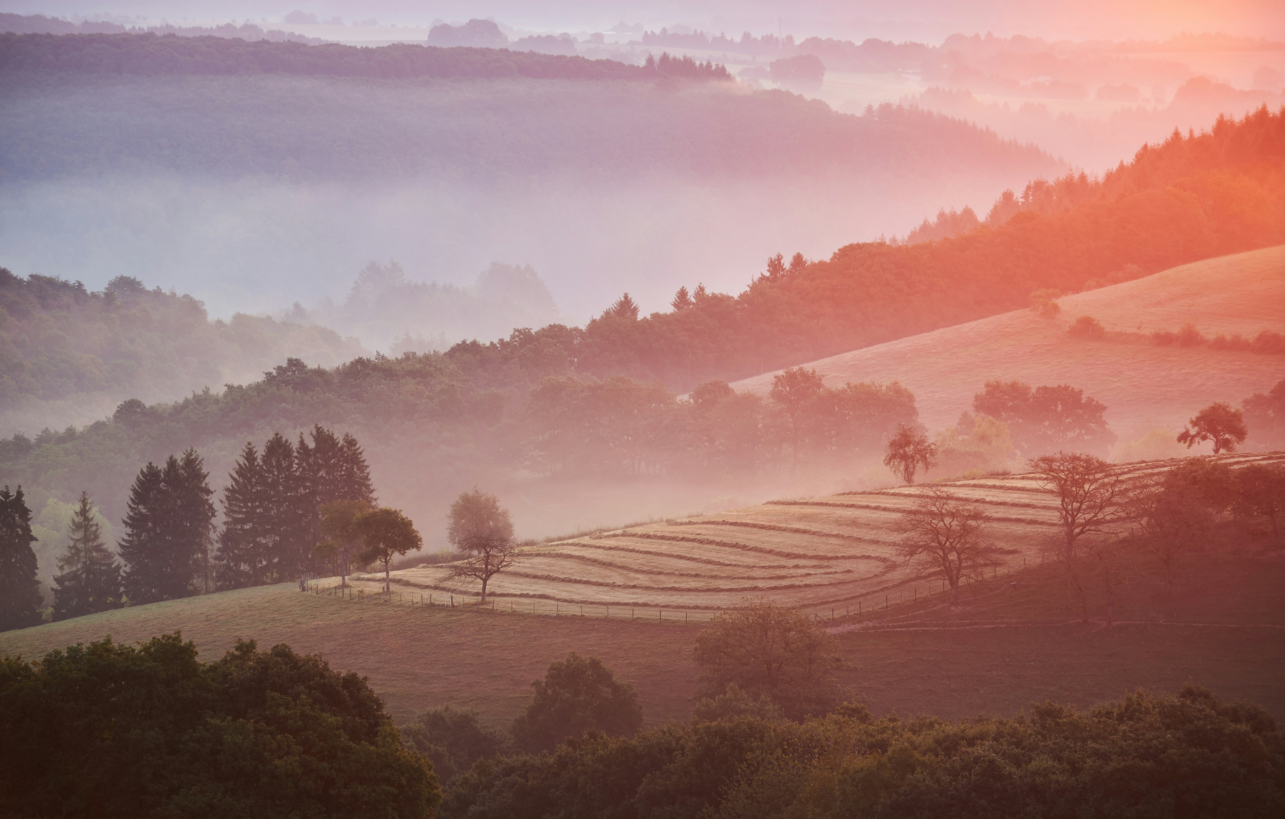 Blog Post Title Three