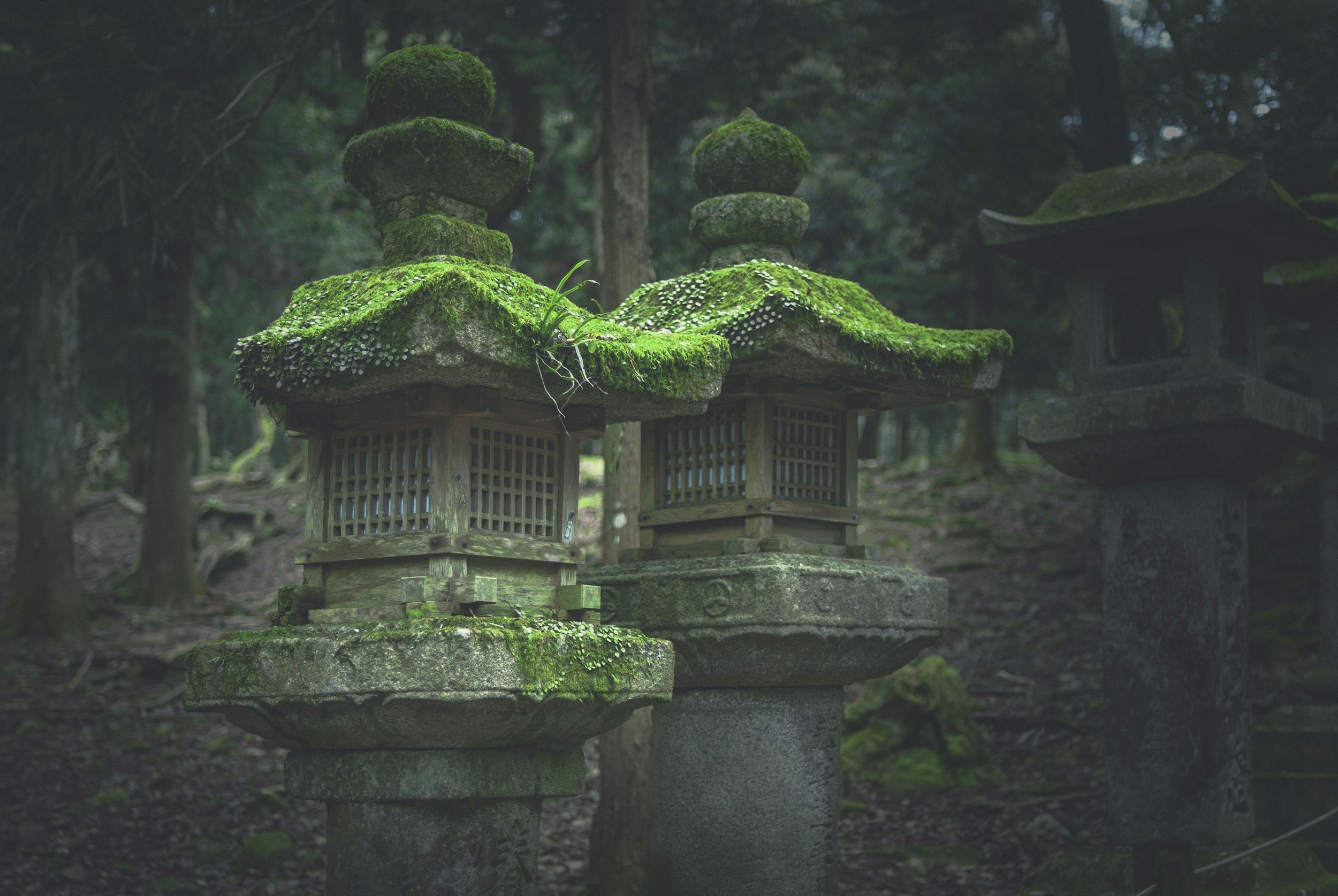 unsplash-image-LIfxy8PJ9dk.jpg