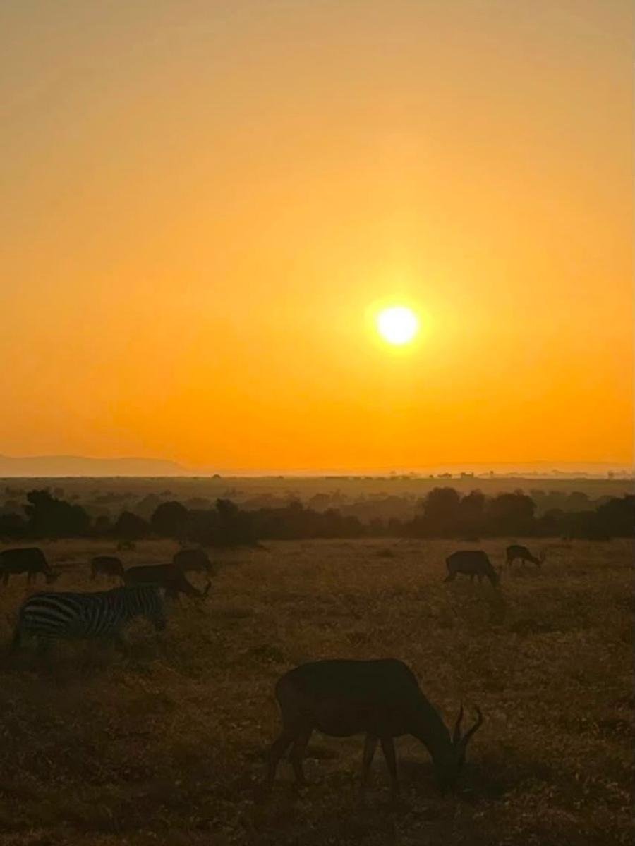 safari-di-gruppo-in-kenya (5).jpg