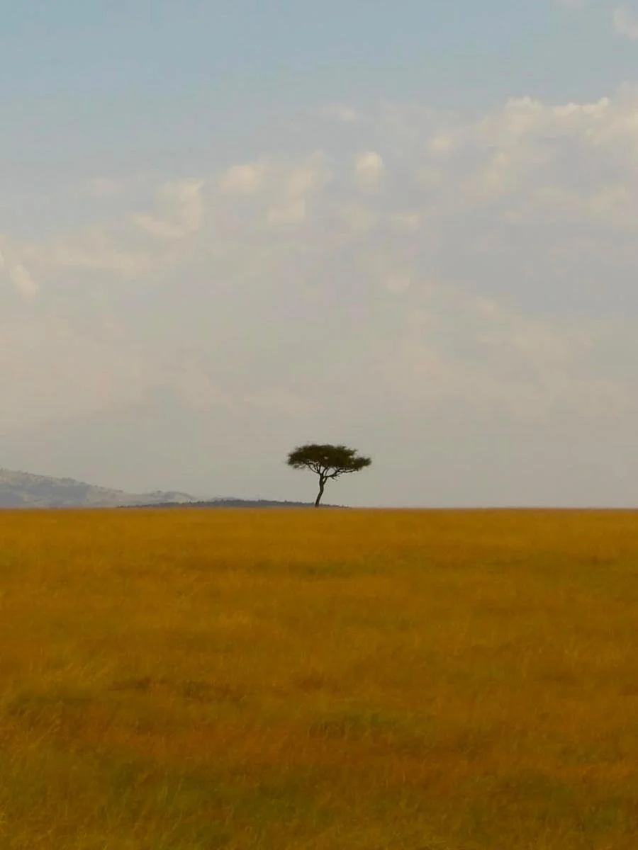safari-di-gruppo-in-kenya (4).jpg