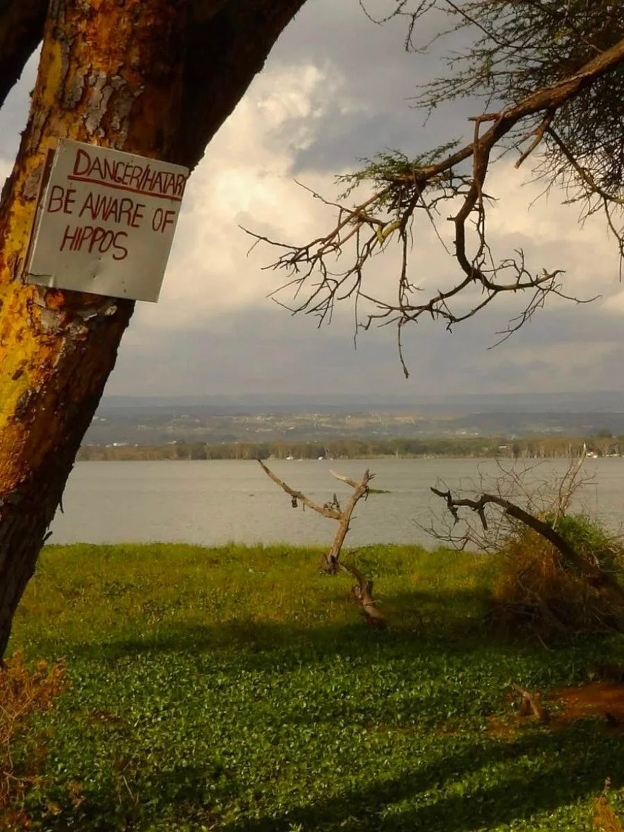 safari-di-gruppo-in-kenya (6).jpg