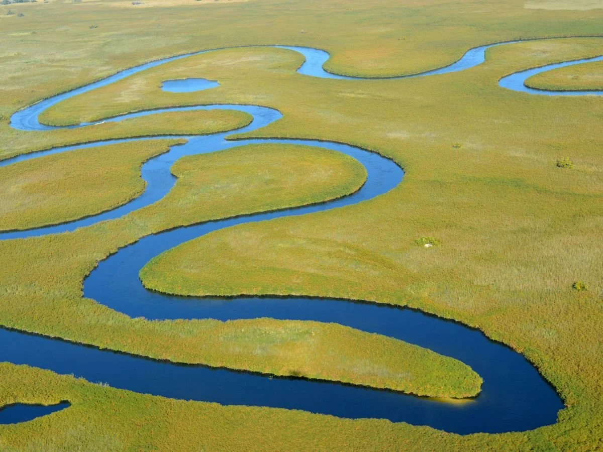 Viaggio in Botswana: itinerario di 9 giorni tra natura primordiale e safari iconici