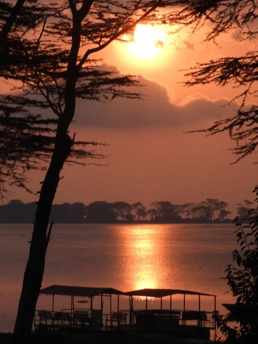 safari-in-africa (10).jpg
