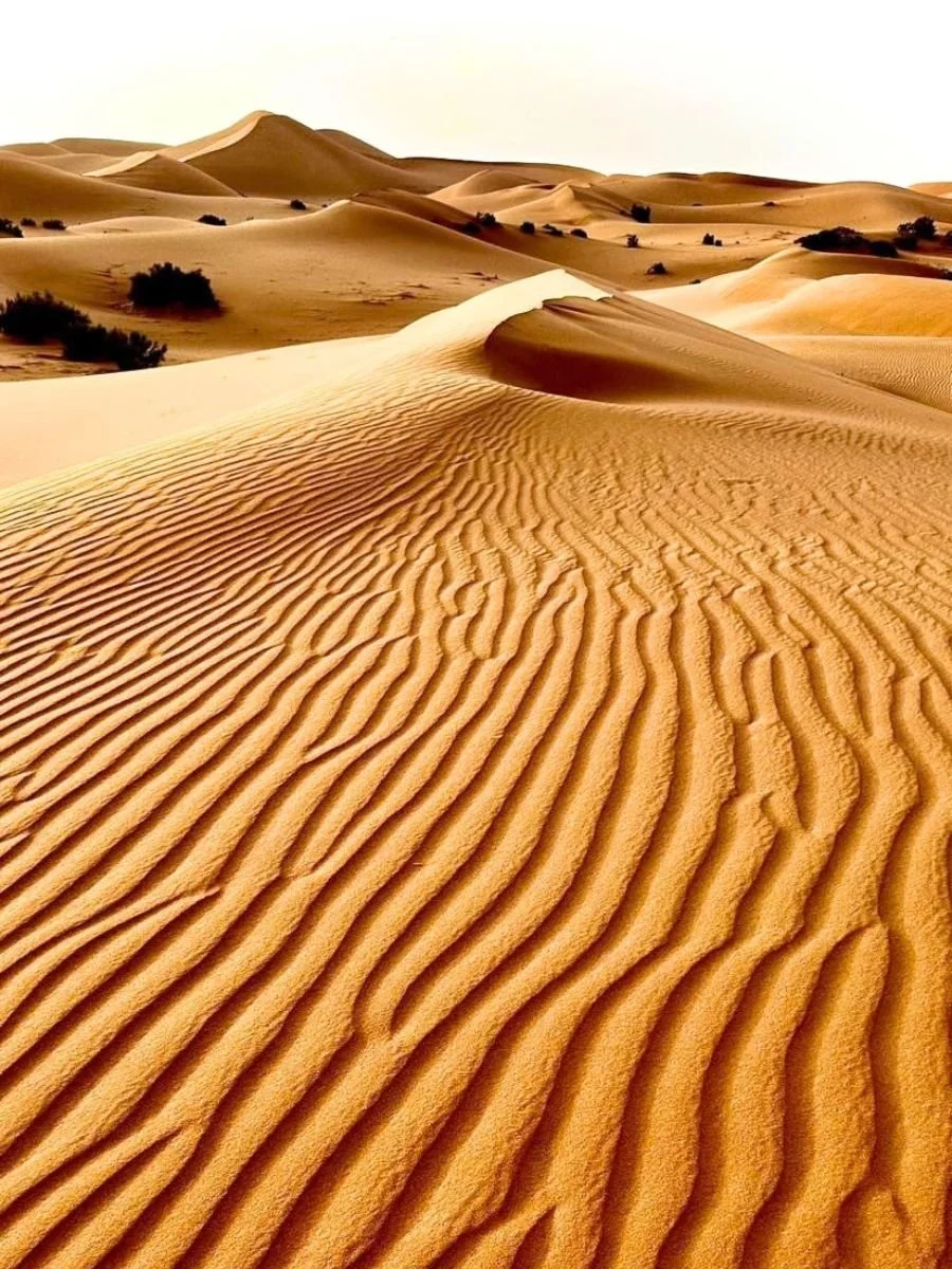 viaggio-in-marocco-di-7-giorni-deserto-sahara (3).jpg