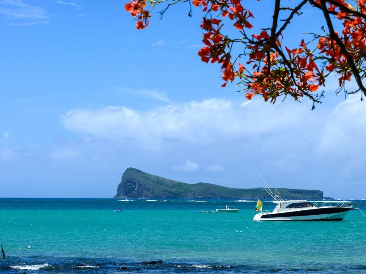 Oceano turchese brillante con un motoscafo, un'isola verde lussureggiante sullo sfondo, vivaci fiori arancioni in primo piano sotto un cielo azzurro e terso.