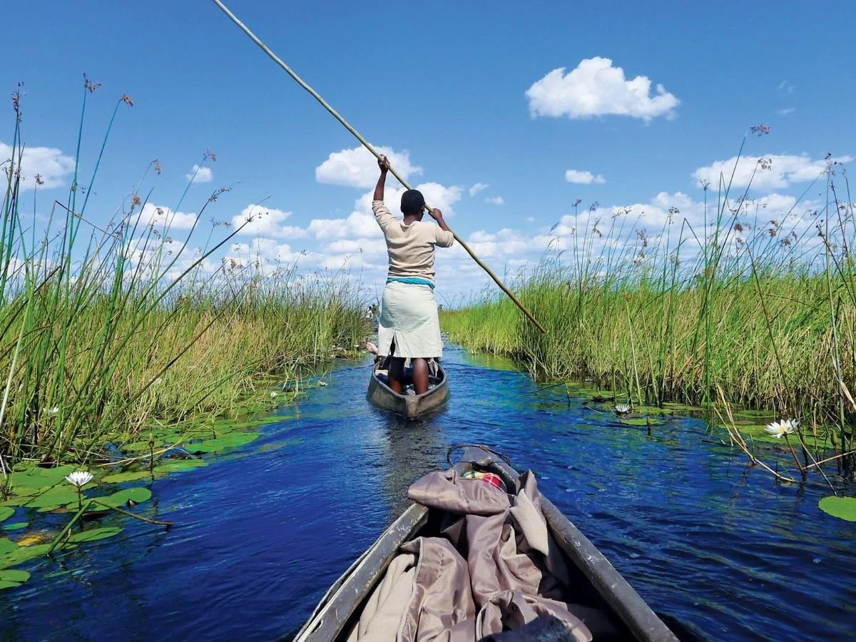 Una persona in piedi a poppa di un mekoro (piroga) spinge la barca con un lungo palo attraverso un canale d'acqua fiancheggiato da alte canne e ninfee nel delta dell'Okavango, Botswana, sotto un cielo blu parzialmente nuvoloso.