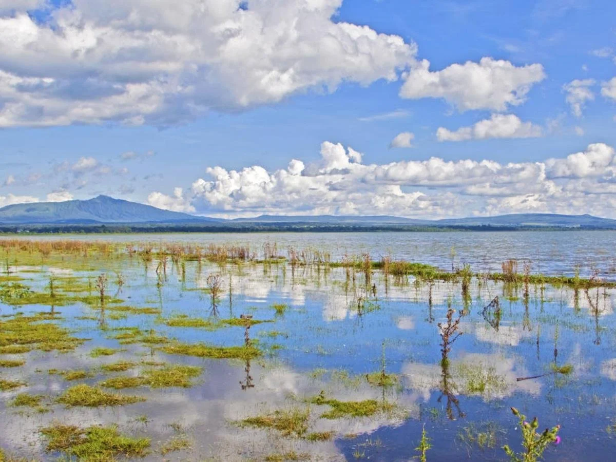 Una veduta panoramica del Lago Naivasha con acque calme che riflettono il cielo nuvoloso, circondato da vegetazione bassa e montagne in lontananza