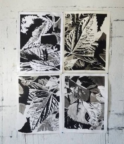 fern study, 2017 // ink on paper