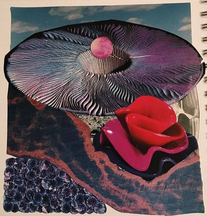 texture study, 2019 // collage