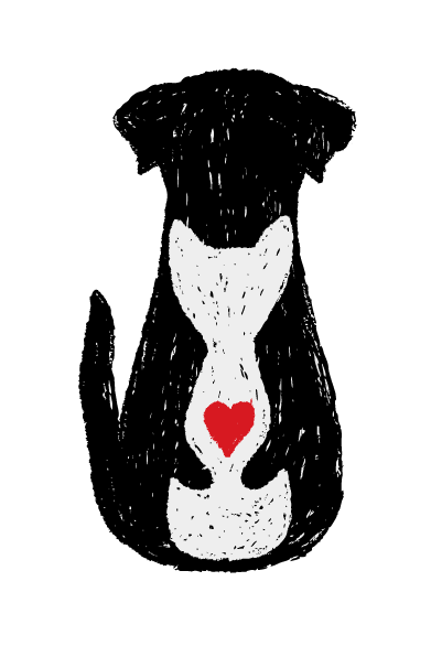 The Holistic Vet