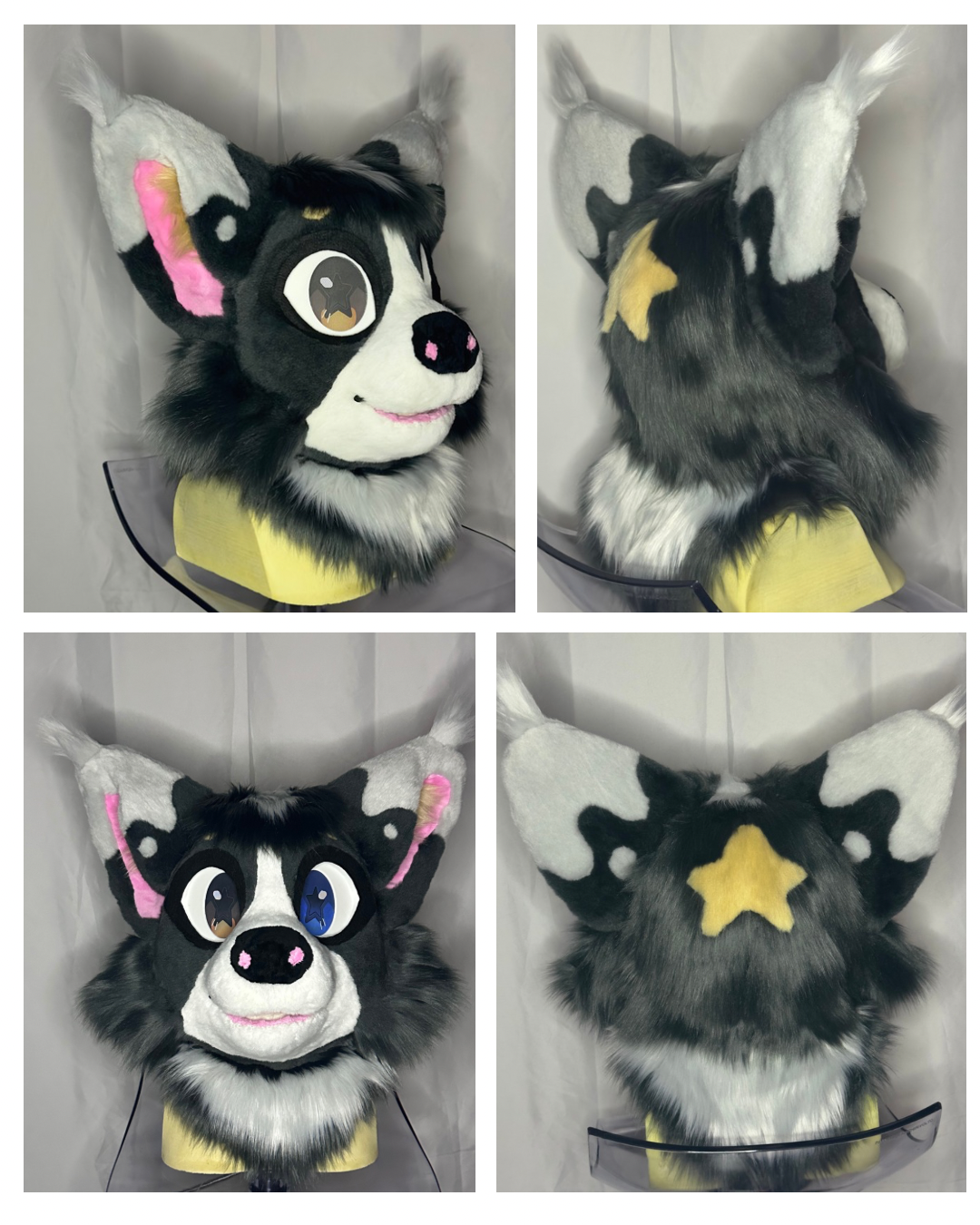 Untitled design 2.png