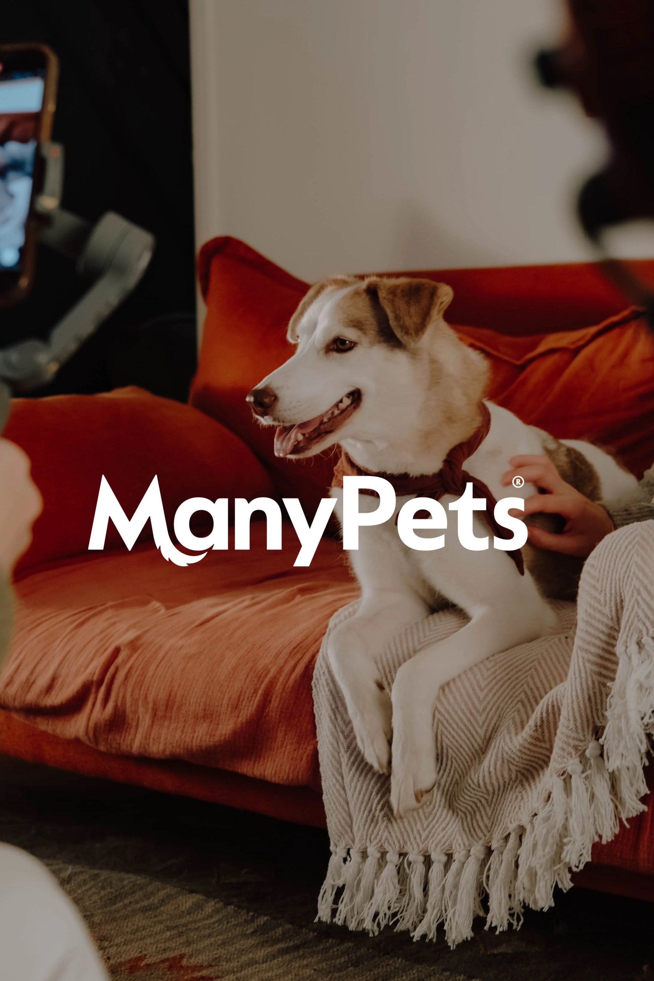 A dog sitting on a beige blanket on a red couch, with a person petting it. The background shows a white wall and part of a person holding a phone. The text 'ManyPets' is overlaid on the image.
