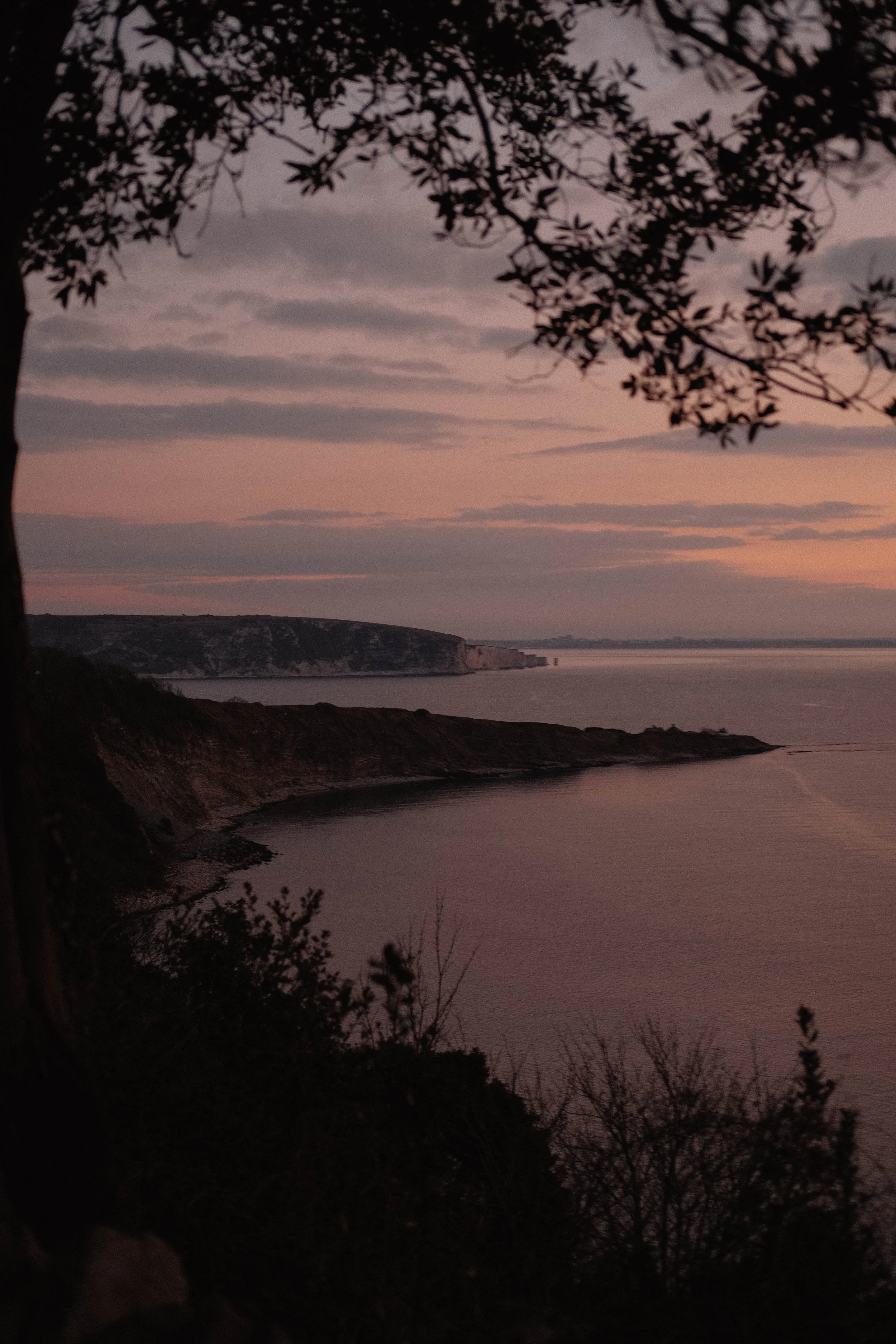 Sunset over a coastal landscape with cliffs and water, framed by tree branches and foliage in the foreground.