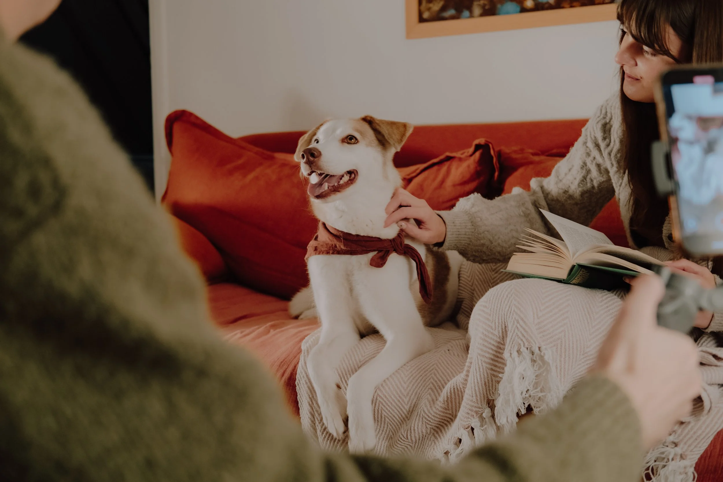 ManyPets: Social Content