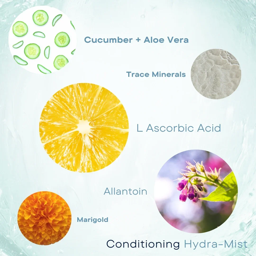 Conditioning-Hydra-Mist-Multi-Active-Electrolyte-Toner-Wish-Skin-Health-key-ingredients.webp