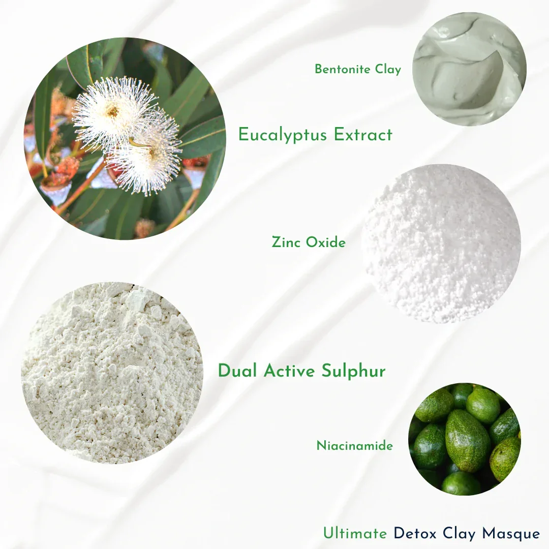 wish-skin-health-skin-care-masks-peels-ultimate-detox-clay-mask-35141660835995.webp
