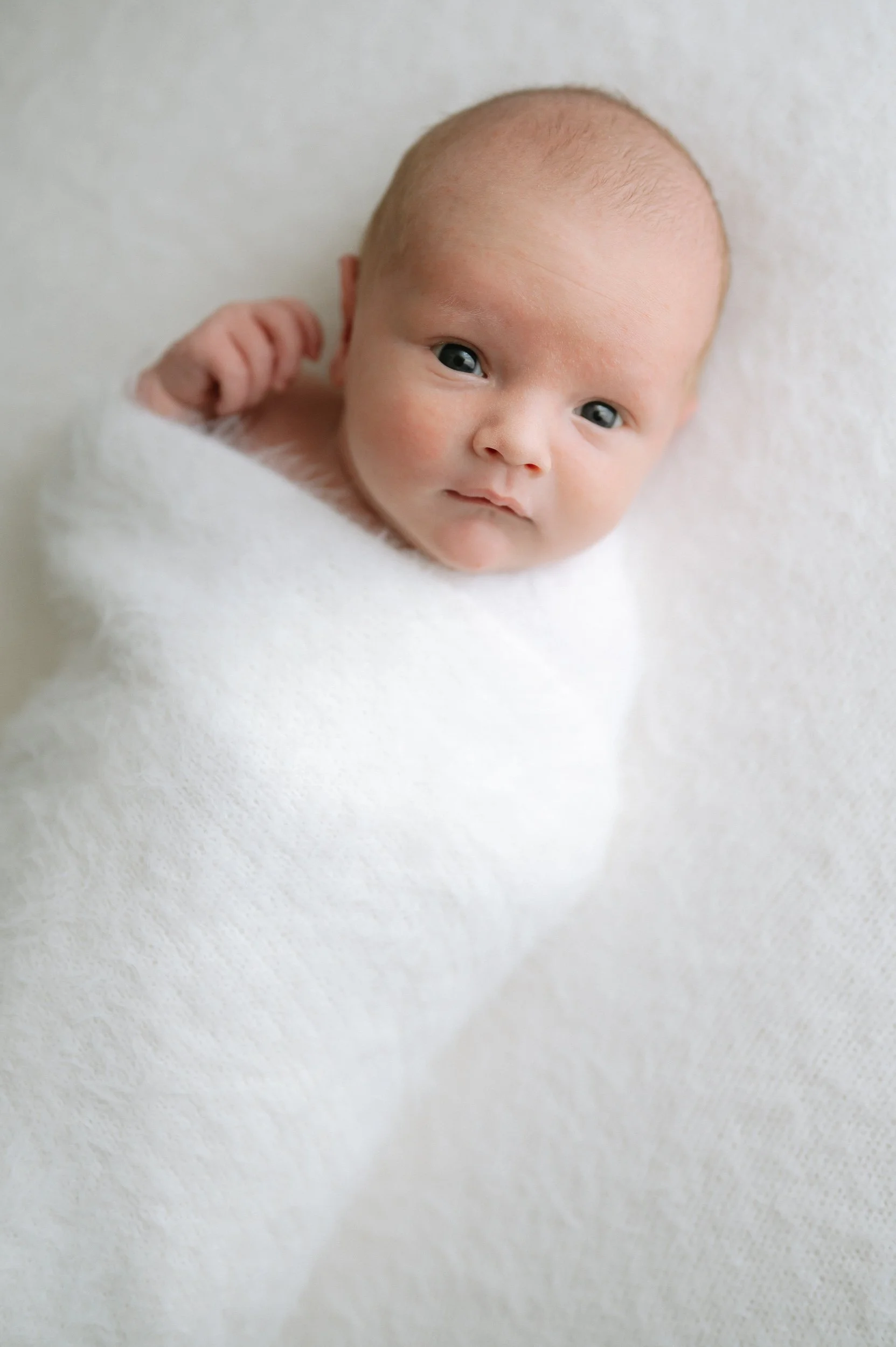 Portrait of a wide-awake newborn baby wrapped in a soft white blanket, captured in a natural light newborn photography studio in Doncaster.