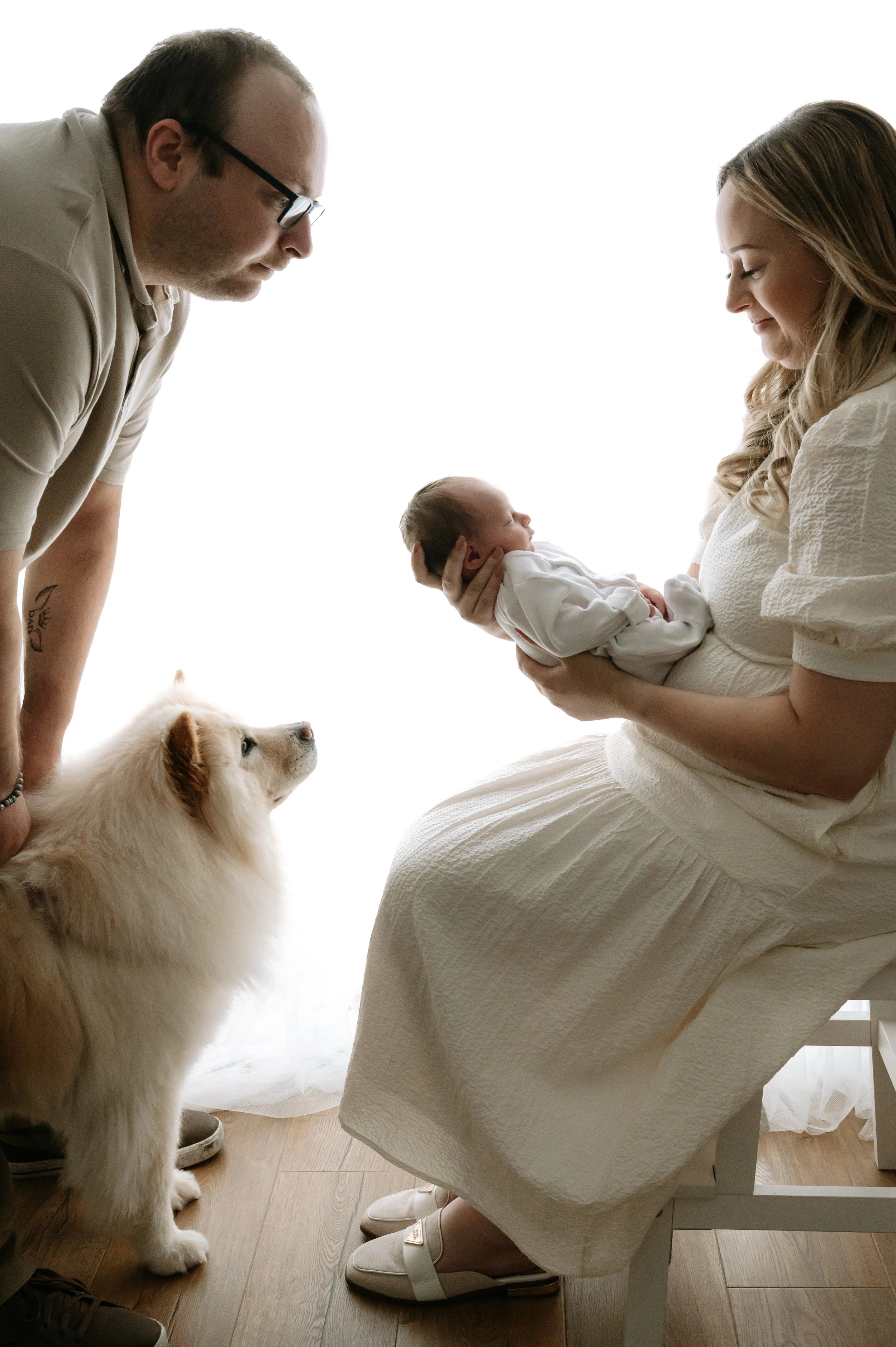 Natural backlit image of a newborn family with their husky enjoying natural newborn shoot in a Doncaster studio