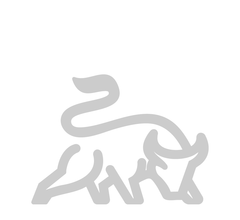 Portfolio Design & Management