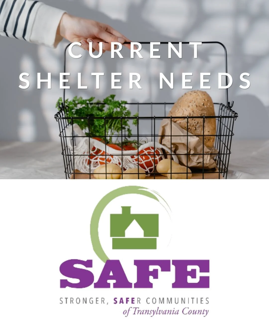 Looking to support SAFE in a practical way? Here is a list of current needs for our shelter, Stacey's House! If you have any questions feel free to call us at (828) 885-7233!