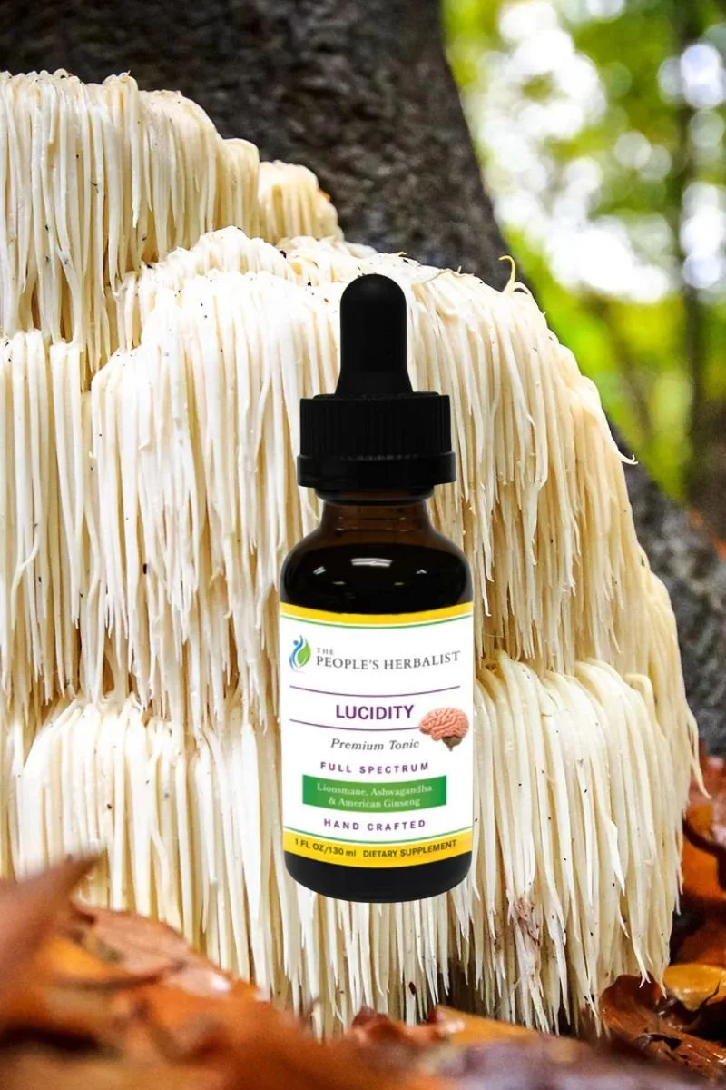 MY FAVORITE ADAPTOGENIC BLEND - I had made the connection between brain inflammation and chronic migraines, and was utilizing the literature to help get me out of it. 

And all signs pointed to Lion's Mane.

I found this small batch little tincture o