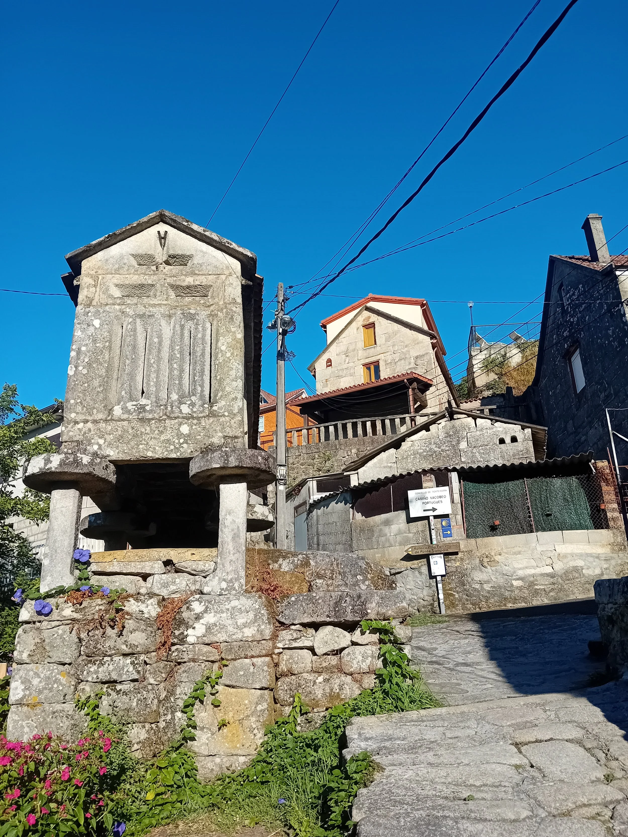 20250728_091142.jpg